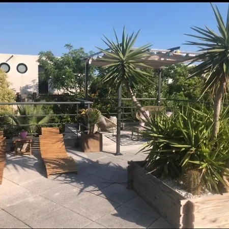 Villa Flamant Rose 5 Etoiles Bord De Quartier Villeroy Sète